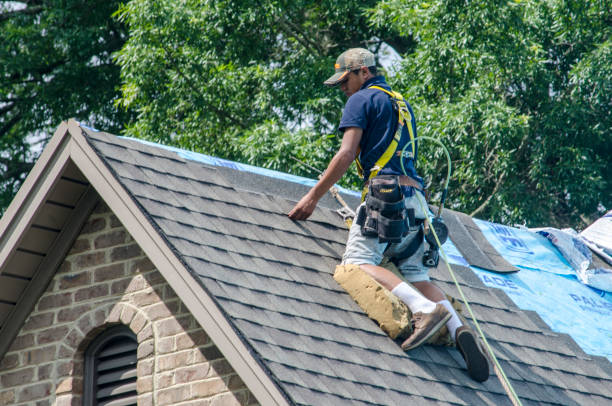 Best Roof Restoration Services  in Barrington, IL